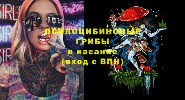 бошки Абаза