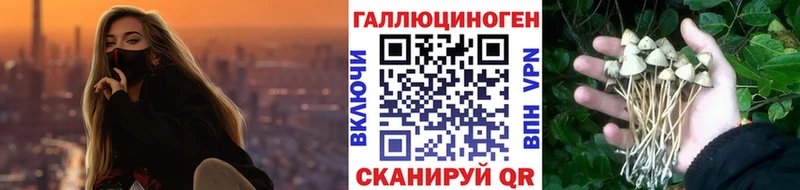 Псилоцибиновые грибы Psilocybine cubensis  блэк спрут зеркало  Якутск  закладка 